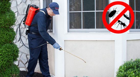 Acıgöl Kene İlaçlama böcek ilaçlama ve haşere kontrolü — ilaclama-tr.com